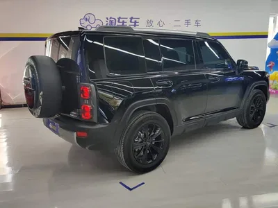 2024 Haval Meng Long NEV Hi4 102 Pro, фото 3, лот 10306118