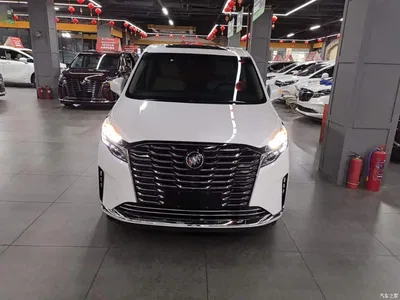 2023 Buick GL8 ES Landmaster Luxury, фото 3, лот 10764025