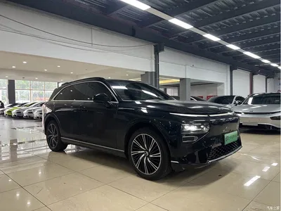2024 XPeng G9 570 Max, фото 3, лот 10375303