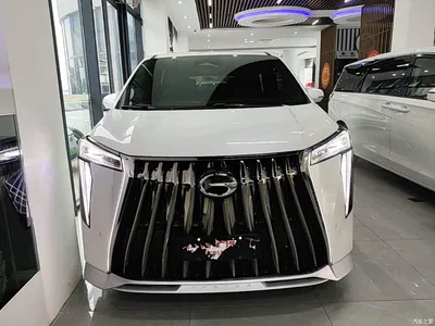 2023 GAC Trumpchi Trumpchi M8 Model Master Series 400T Flagship Edition, фото 3, лот 10387599