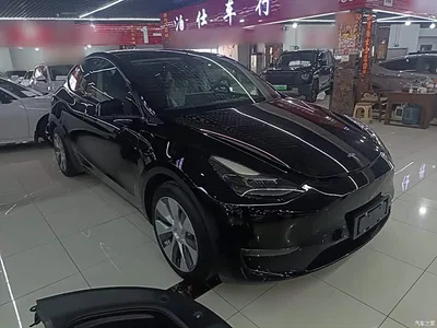 2021 Tesla Model Y Standard Range Rear-Wheel Drive, фото 4, лот 11579786