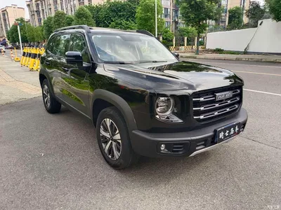 2022 Haval Big Dog 1.5T DCT FWD Labrador Edition, фото 3, лот 11097747
