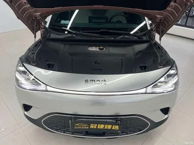 2024 smart Elf #1 Agile Luxury Edition, фото 2, лот 11247720