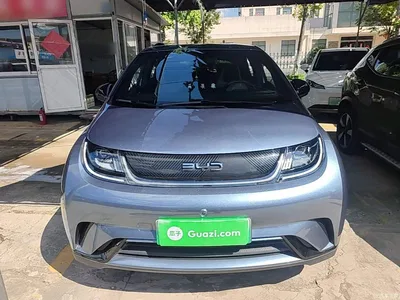 2025 BYD Dolphin 420km Freedom Edition, фото 3, лот 10263707