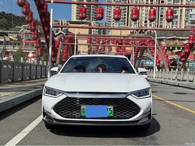 2020 BYD Han DM AWD Performance Premium, фото 2, лот 10257017
