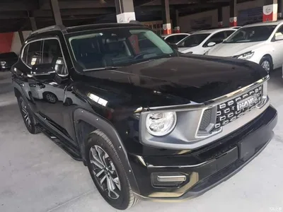 2023 Haval Da Gou 2nd Gen 1.5T 2WD Trend & Wild Edition Plus, фото 4, лот 10285896