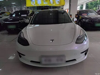 2022 Tesla Model 3 Model Rear-Wheel Drive Version, фото 3, лот 11081708