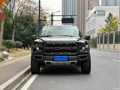 2018 Ford F-150 Raptor 3.5T Raptor Performance Enhanced Edition, фото 1, лот 10298674
