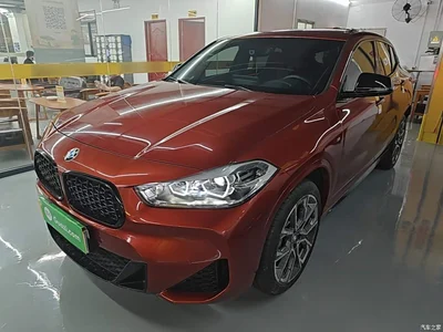 2021 BMW X2 Facelift sDrive25i Shadow Night Edition, фото 2, лот 10475496