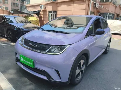 2023 BYD Dolphin 420km Freedom Edition, фото 1, лот 10264404