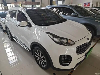 2016 Kia KX5 Model 1.6T Automatic 2WD DLX, фото 4, лот 10337522