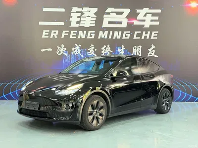 2023 Tesla Model Y Long Range All-Wheel Drive Edition, фото 1, лот 11213275