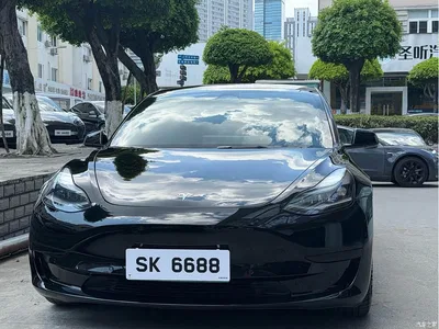 2022 Tesla Model 3 Model Rear-Wheel Drive Version, фото 2, лот 10351986