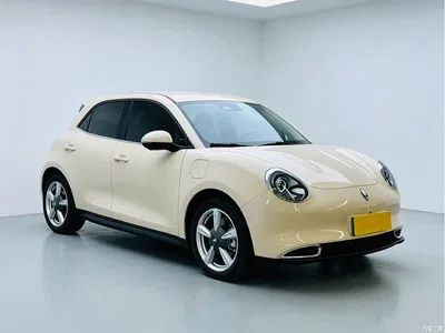 2023 Ora Good Cat 401km Standard Range Luxury LFP, фото 3, лот 11073349