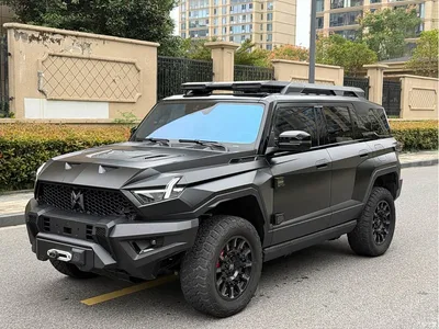 2024 Mengshi 917 Extended Range Highland Lion Edition, фото 1, лот 11642498