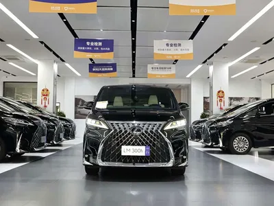 2020 Lexus LM 300h 4-Seat Imperial Edition, фото 3, лот 10313140