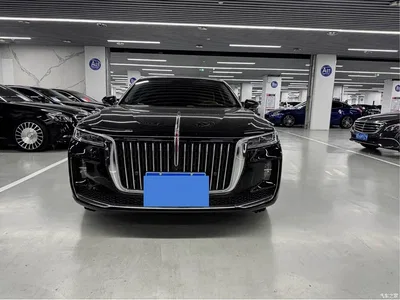 2020 Hongqi H9 2.0T Smart Connection Qi Chang Edition, фото 2, лот 11081595
