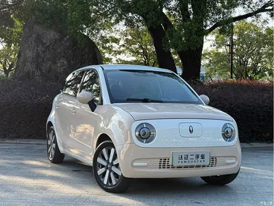 2022 Ora Black Cat 301km Cute Pet Edition (LFP), фото 3, лот 10447849