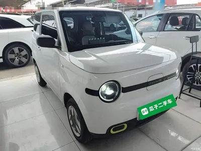 2025 Geely Galaxy Panda mini 210km Vitality Bear, фото 4, лот 10433259
