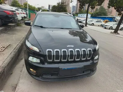 2016 Jeep Cherokee 2.4L Leading Edition, фото 3, лот 10420023