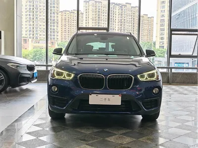 2016 BMW X1 sDrive20Li Luxury Model, фото 2, лот 10466804