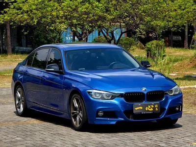 2019 BMW 3 Series 320Li M Sport Black Night Edition, фото 3, лот 11568814