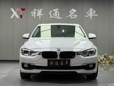 2016 BMW 3 Series 320Li Fashion Model, фото 2, лот 10886862