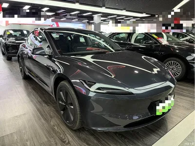 2025 Tesla Model 3 Model Rear-Wheel Drive Edition, фото 3, лот 10346234
