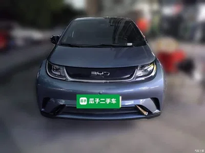 2024 BYD Dolphin Glory Edition 420km Fashion Edition, фото 2, лот 10252658