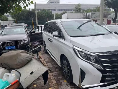 2023 GAC Trumpchi Trumpchi M8 Leading Series 390T Ultimate Edition, фото 3, лот 10417610