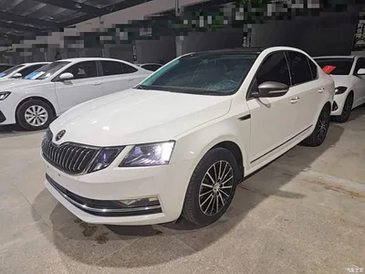 2018 Škoda Octavia 1.6L Automatic Luxury, фото 2, лот 10448153