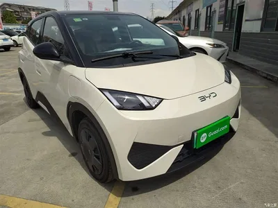 2025 BYD Seagull Smart Drive Edition 305km Vitality Version, фото 4, лот 10263010