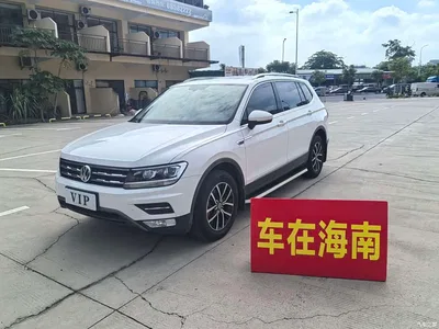2018 Volkswagen Tiguan L 330TSI Automatic 2WD Luxury Edition, фото 1, лот 10837391