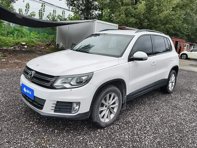 2016 Volkswagen Tiguan 280TSI Automatic 2WD Silk Road Fashion Edition, фото 1, лот 10478211