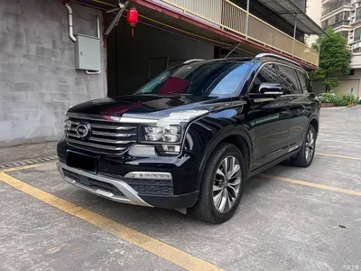 2017 GAC Trumpchi Trumpchi GS8 320T 2WD Luxury Smart Connect (7-seater), фото 1, лот 10416565