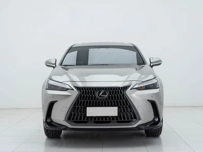 2022 Lexus NX 260 FWD Joy Creation Edition, фото 2, лот 10313297