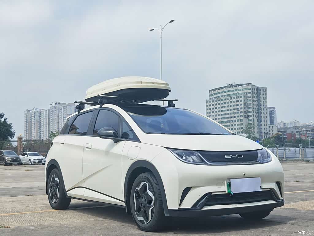 2021 BYD Dolphin Model 405km Fashion Edition, фото 3, лот 11222418