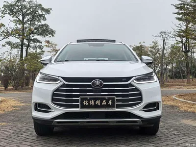 2018 Byd Tang, фото 2, лот 10248207