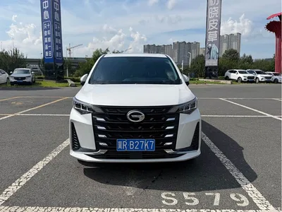 2021 GAC Trumpchi Trumpchi M6 PRO 270T Automatic Premium Edition, фото 2, лот 10420300