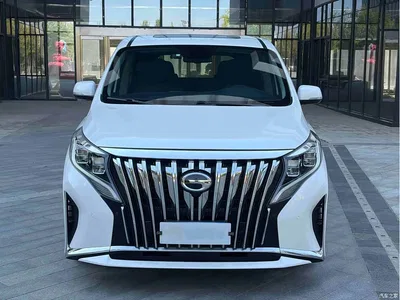 2021 GAC Trumpchi Trumpchi M8 Leading Show Series 390T Prestige Edition, фото 2, лот 10418452