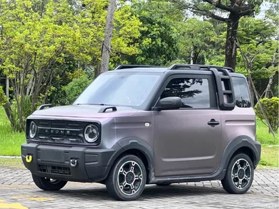 2025 Geely Galaxy Panda Model Year 210km Panda Knight, фото 1, лот 10431636