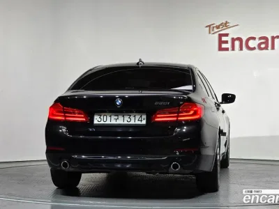 2020 BMW 5-Series 530i Luxury Plus, фото 3, лот 10046453