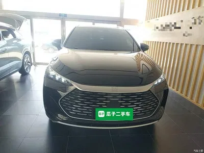 2025 BYD Tang New Energy DM-i 115KM Prestige Type, фото 3, лот 10272454