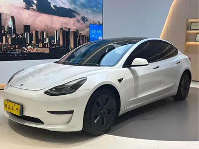 2021 Tesla Model 3 Standard Range Rear-Wheel Drive Upgrade, фото 1, лот 10353478