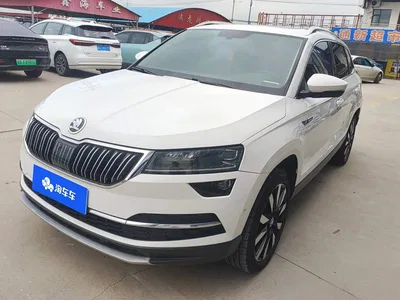 2018 Škoda Karoq TSI280 Flagship Edition China V, фото 1, лот 10348985