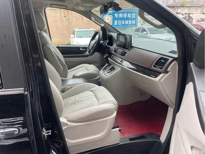 2016 SAIC Maxus Maxus G10 2.0T Automatic Executive Edition, фото 3, лот 11160894