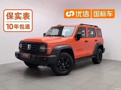 2023 Tank 300 Off-Road Edition 2.0T Conqueror, фото 1, лот 11527896