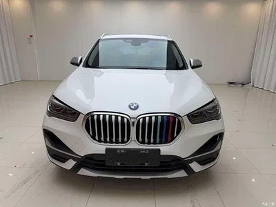 2022 BMW X1 sDrive20Li Premium, фото 2, лот 10466972