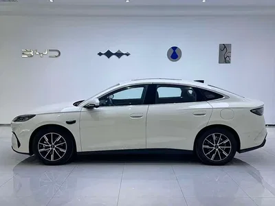 2025 BYD Seal 06 New Energy DM-i Smart Drive Edition 120KM Luxury, фото 2, лот 10273600