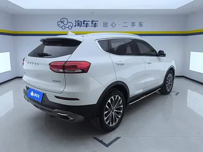 2020 Haval H6 1.5GDIT Automatic Platinum Luxury Edition, фото 3, лот 10296521